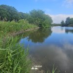 taglio_alberi_malalbergo_12