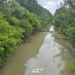taglio_alberi_malalbergo_15