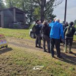 taglio_alberi_malalbergo_5
