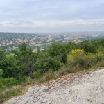 2026_03_02_Myriam_05