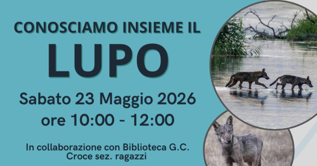 Conosciamo il lupo