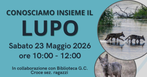 Conosciamo il lupo